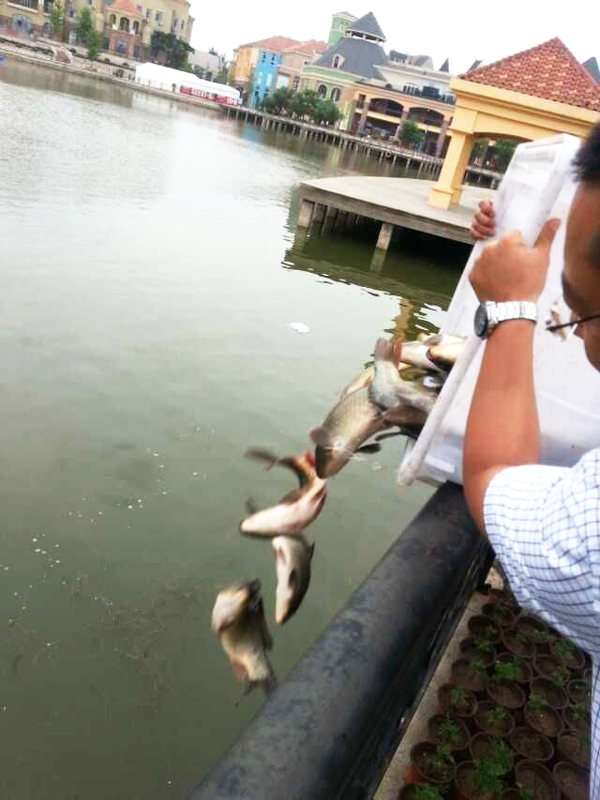 新宝GG—创立事业平台