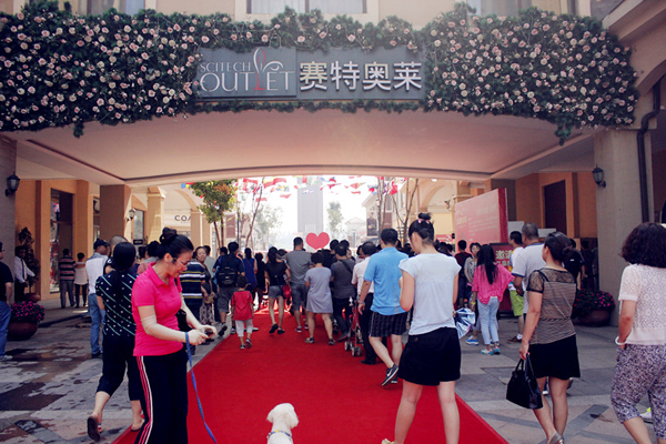 新宝GG—创立事业平台