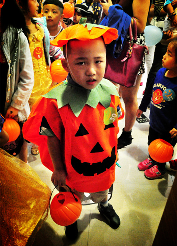 新宝GG—创立事业平台