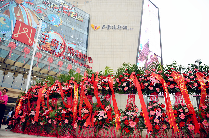 新宝GG—创立事业平台