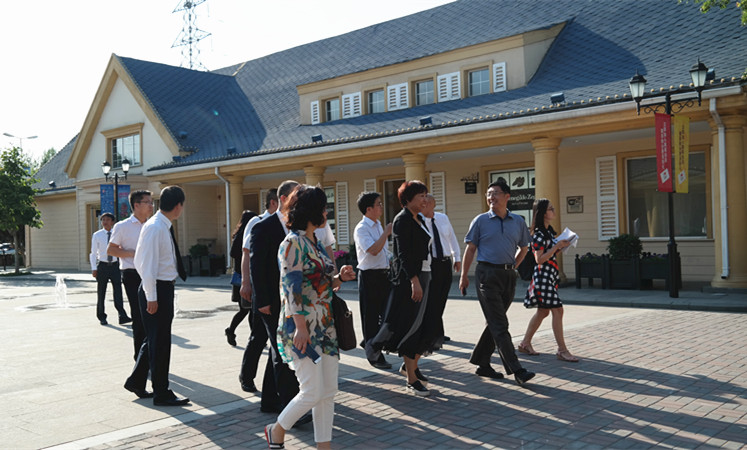 新宝GG—创立事业平台