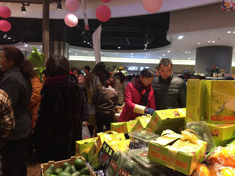 新宝GG—创立事业平台