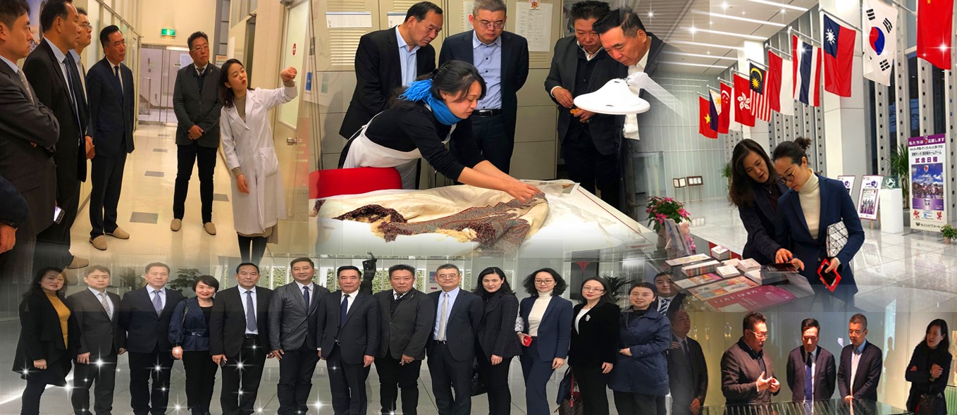 新宝GG—创立事业平台