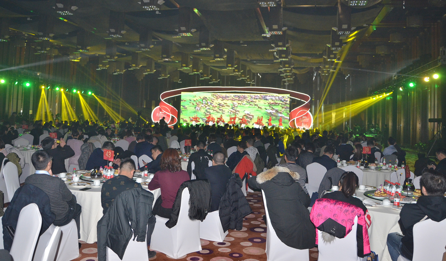 新宝GG—创立事业平台