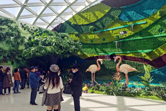 新宝GG—创立事业平台