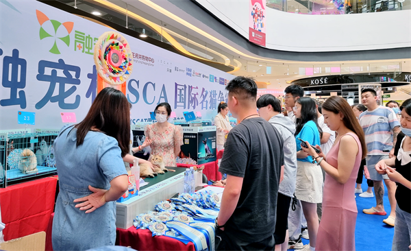 新宝GG—创立事业平台