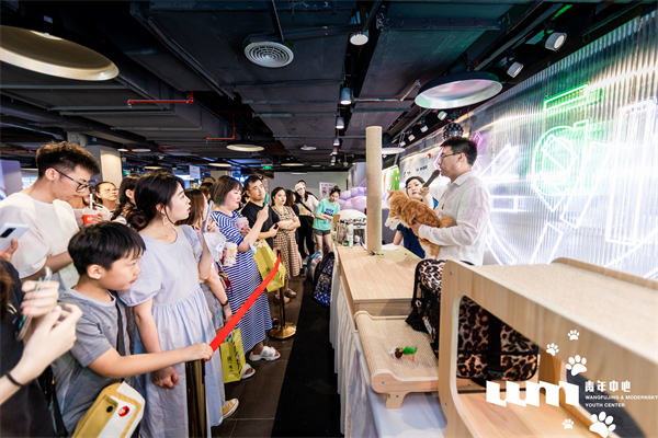 新宝GG—创立事业平台