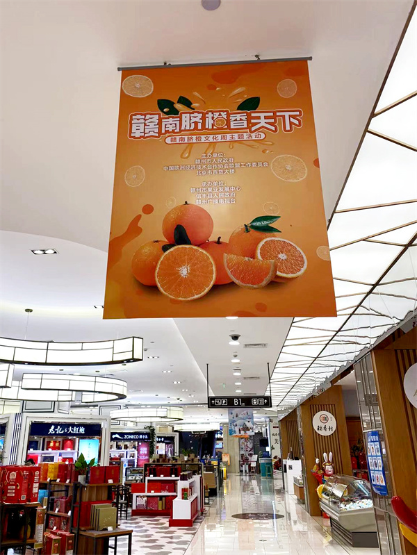 新宝GG—创立事业平台