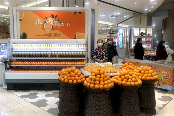 新宝GG—创立事业平台