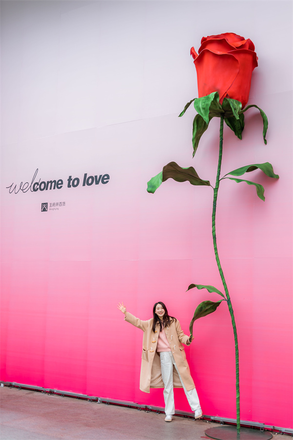 新宝GG—创立事业平台