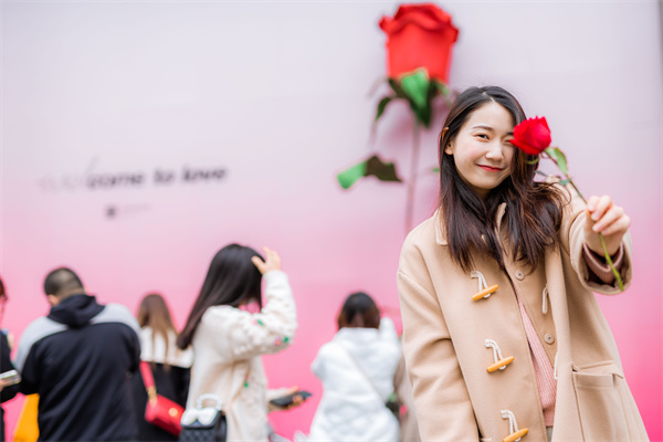 新宝GG—创立事业平台