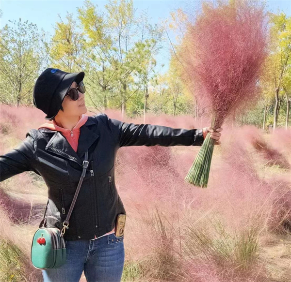 新宝GG—创立事业平台