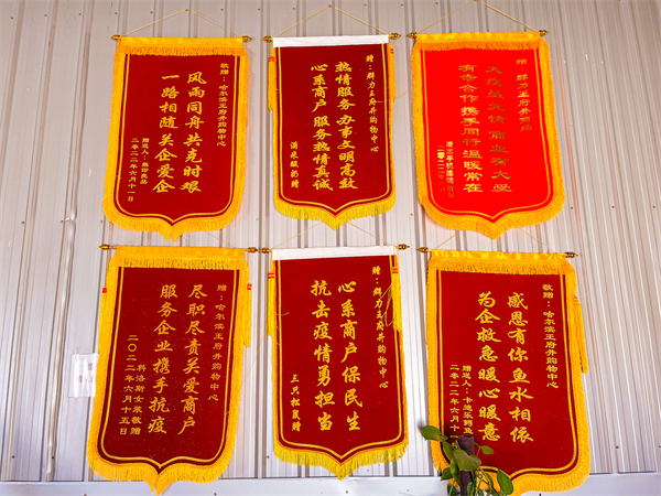 新宝GG—创立事业平台